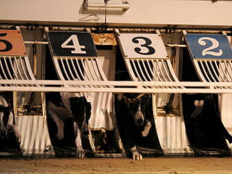 IGB To Pull Funding From Four...